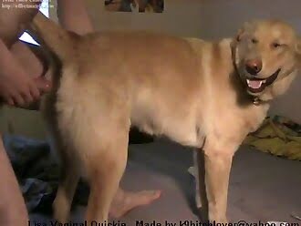 Пиздошный трахаль выебал в пизду хвостатую сучку