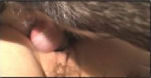 Частная студия съёмки зоо порно с собаками